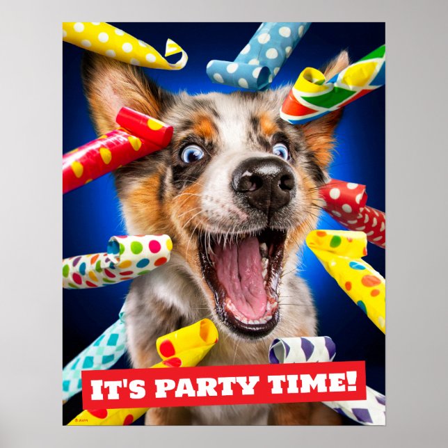 Happy Dog Party Blowers Poster (Front)
