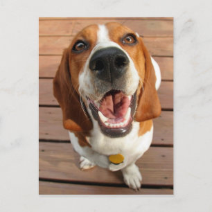 Happy Dog Postcard