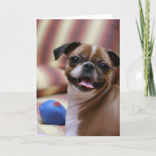 Happy Dog with Toy Card