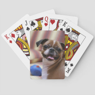 Happy Dog with Toy Playing Cards