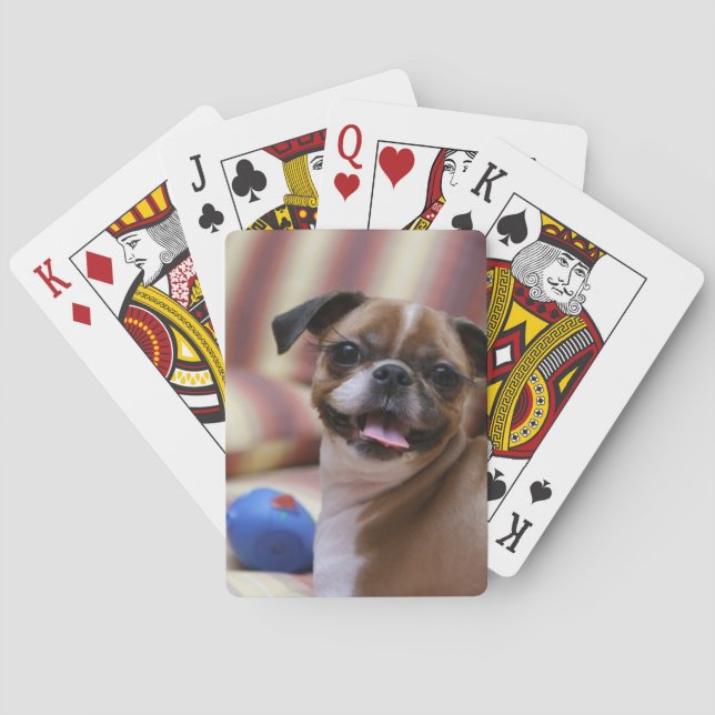 Happy Dog with Toy Playing Cards (Back)