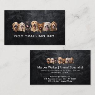 Happy Dogs   Animal Trainer Business Card