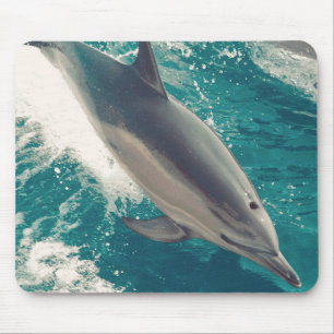 Happy Dolphin Mouse Mat