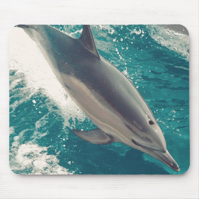 Happy Dolphin Mouse Mat (Front)