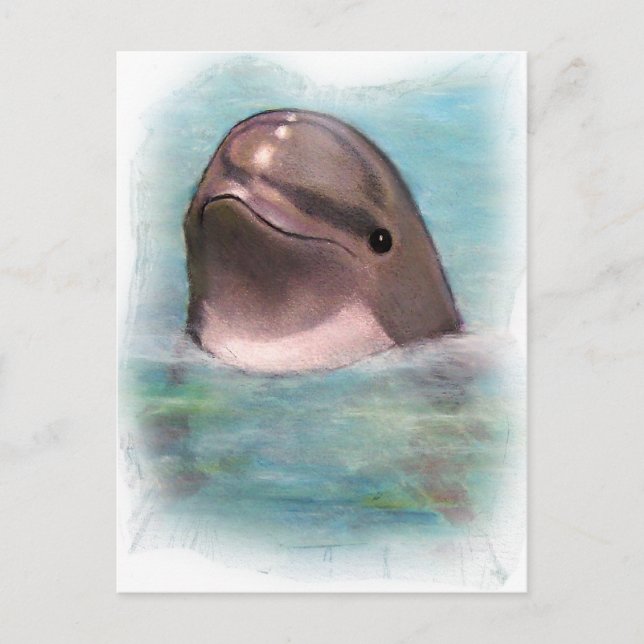 HAPPY DOLPHIN POSTCARD (Front)