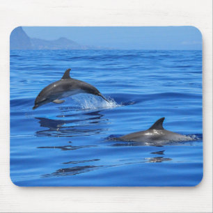 Happy Dolphins Mouse Mat