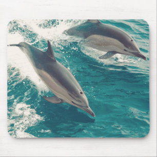 Happy Dolphins Mouse Mat