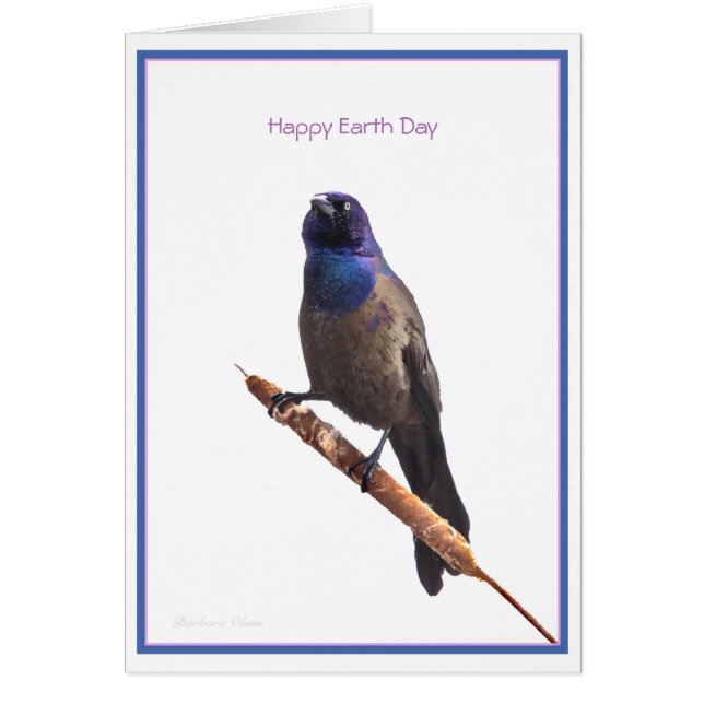 Happy Earth Day: Common Grackle (Front)