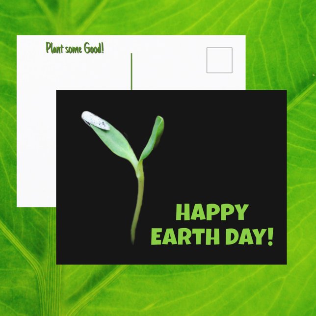 Happy Earth Day New Growth Seedling Black Postcard (Creator Uploaded)