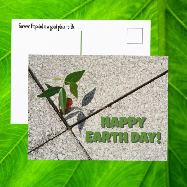 Happy Earth Day Tree Seedling New Growth Postcard (Creator Uploaded)