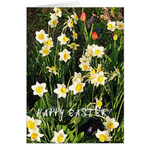 Happy Easter