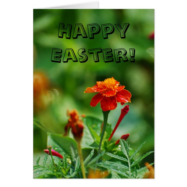 Happy Easter! (Front)