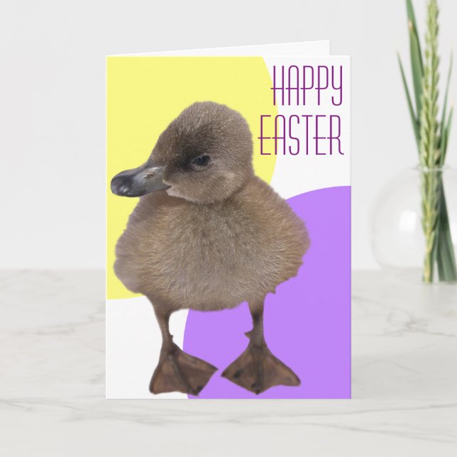 Happy Easter Adorable Grey Duckling Photograph Holiday Card (Front)