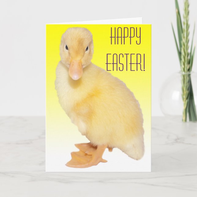 Happy Easter Adorable Yellow Duckling Photograph Holiday Card (Front)