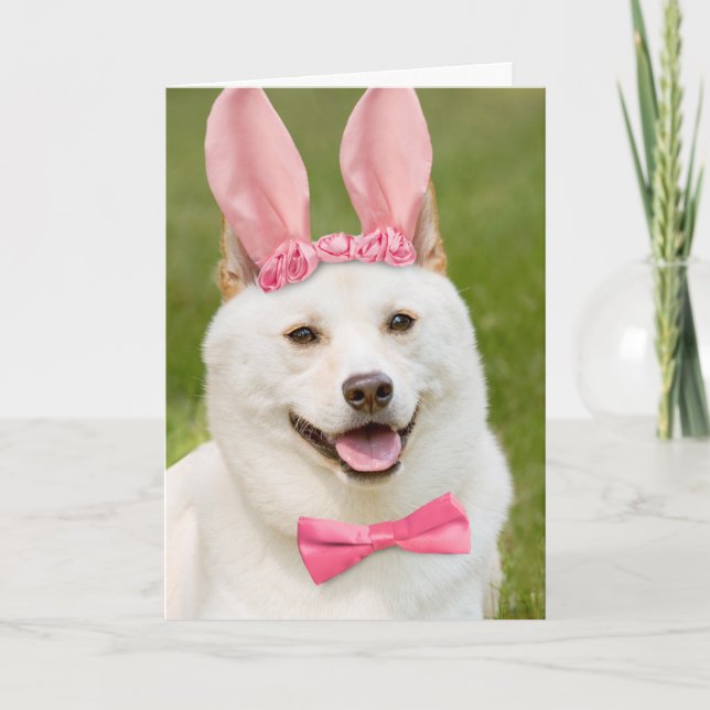 Happy Easter Anyone Shiba Inu Dog In Bunny Ears Holiday Card (Front)