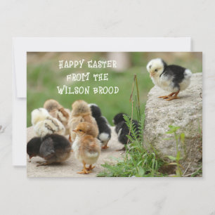 Happy Easter Baby Chicks Greeting Card