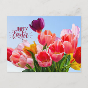 Happy Easter Beautiful Tulip Flowers  Holiday Postcard