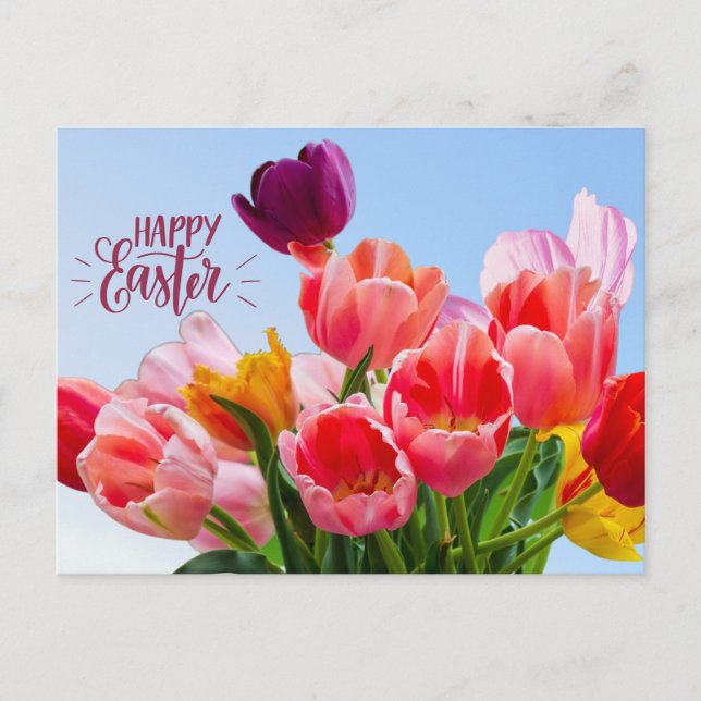 Happy Easter Beautiful Tulip Flowers  Holiday Postcard (Front)