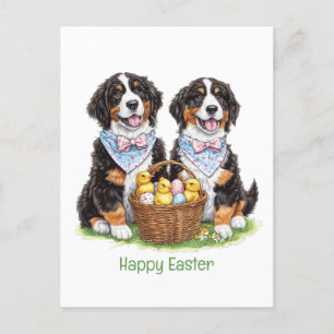 Happy Easter Bernese Mountain Dogs Postcard