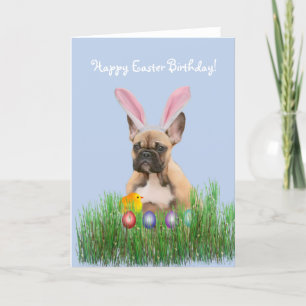 Happy Easter Birthday French Bullcard Holiday Card