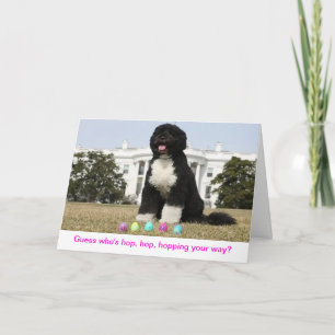 Happy Easter - Bo Obama Greeting Card