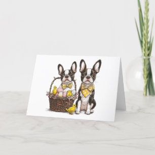 Happy Easter Boston Terrier Dogs Holiday Card