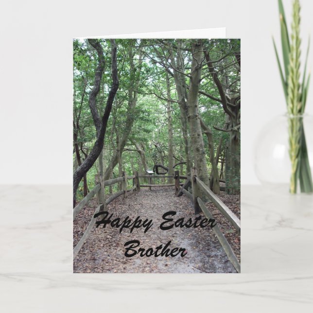 Happy Easter Brother Holiday Card (Front)