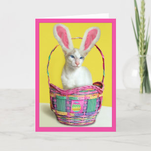Happy Easter Bunny Cat Holiday Card