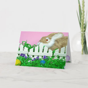 Happy Easter Bunny Holiday Card