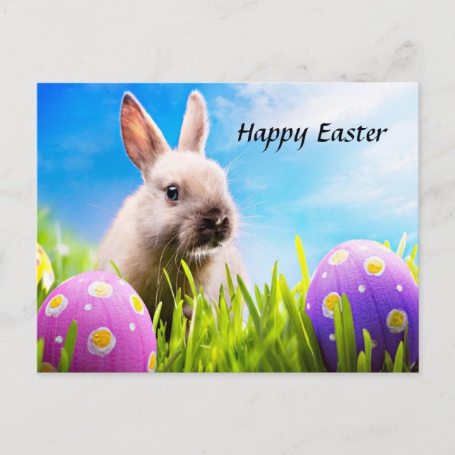 Happy Easter Bunny  Holiday Postcard (Front)