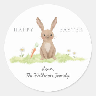 Happy Easter Bunny Rabbit  Classic Round Sticker