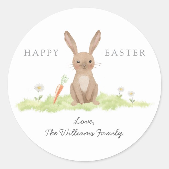 Happy Easter Bunny Rabbit  Classic Round Sticker (Front)