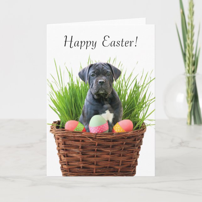 Happy Easter Cane Corso greeting card (Front)