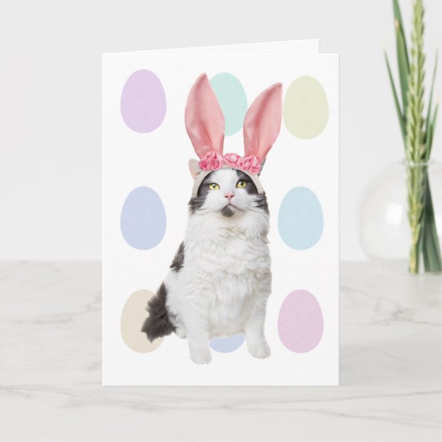 Happy Easter Cat in Bunny Ears Humour Holiday Card (Front)
