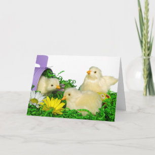 Happy Easter Chicks Holiday Card