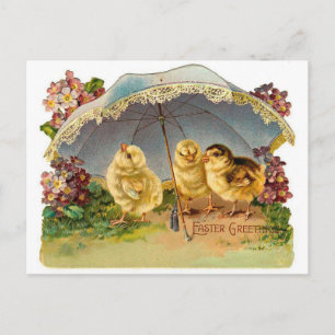 Happy Easter Chicks Vintage Holiday Postcard