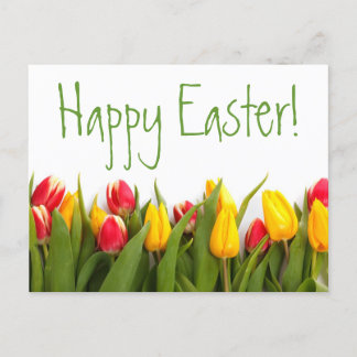 Happy Easter Colourful Spring Tulips White Back Holiday Postcard