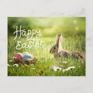 Happy Easter Cute Bunny with Colourful Easter Eggs Postcard