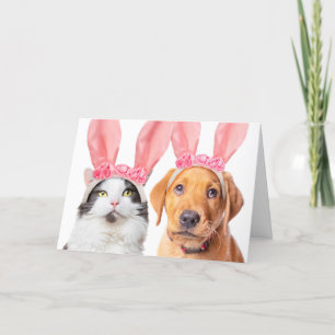 Happy Easter Cute Cat and Puppy in Bunny Ears  Holiday Card