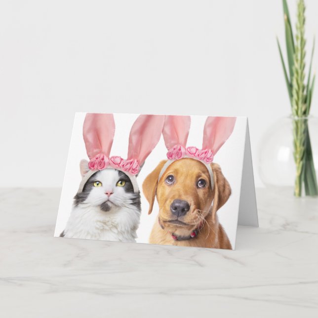 Happy Easter Cute Cat and Puppy in Bunny Ears  Holiday Card (Front)