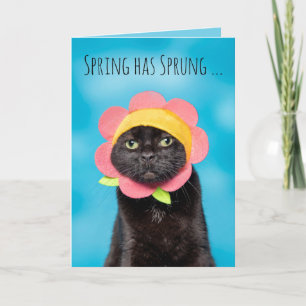 Happy Easter Cute Cat in Flower Hat Humour Holiday Card