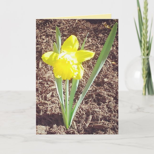 Happy Easter Daffodil Card (Front)