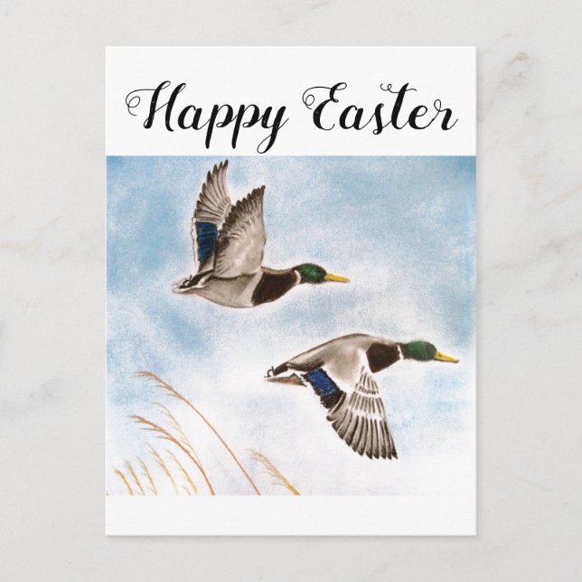 Happy Easter Duck Hunters Postcard (Front)