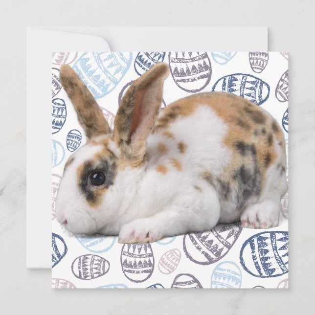 Happy Easter- Easter Eggs- Bunny Photo Card (Front)