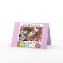 Happy Easter for a cat lover