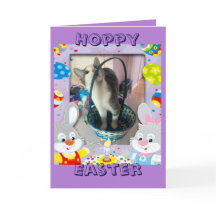 Happy Easter for a cat lover