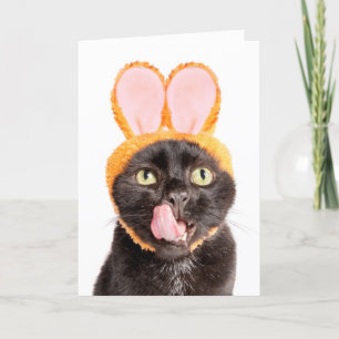 Happy Easter For Anyone Cat in Bunny Ears Licking  Holiday Card