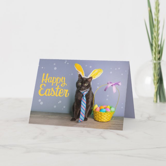 Happy Easter For Anyone Cute Cat in Bunny Ears  Holiday Card (Front)