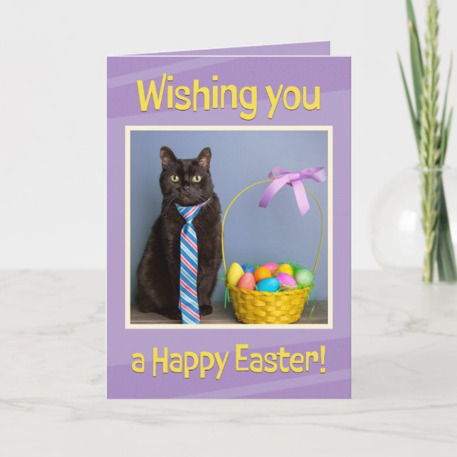Happy Easter For Anyone Cute Cat in Tie  Holiday Card (Front)