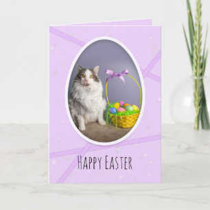 Happy Easter For Anyone Cute Cat With Basket  Holiday Card